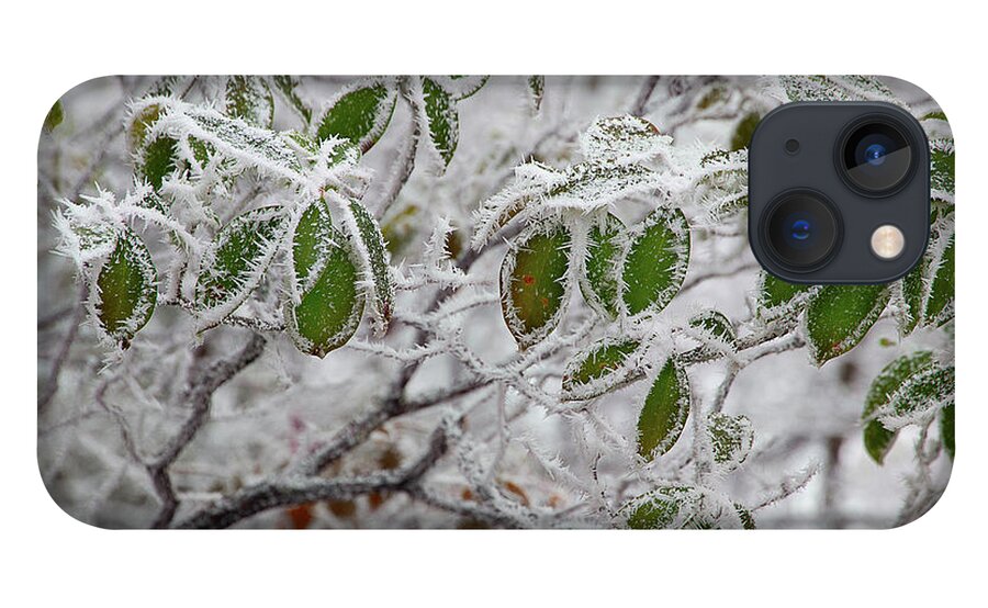 Frost iPhone 13 Case featuring the photograph It's Cold Outside by Mike Eingle