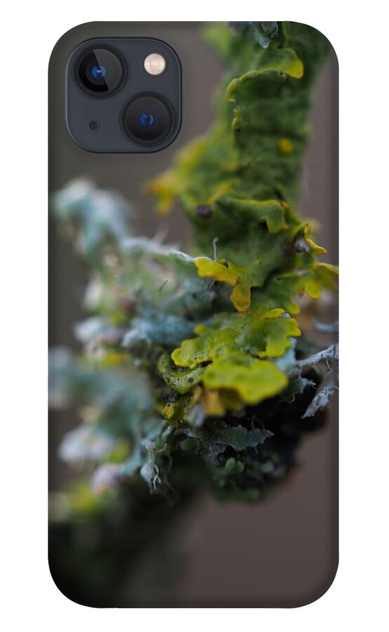 Lichen iPhone 13 Case featuring the photograph It's the Little Things by Jessica Myscofski