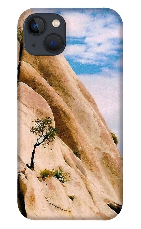  iPhone 13 Case featuring the photograph Joshua Tree rock climbing by Leizel Grant