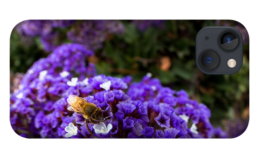Bee iPhone 13 Case featuring the photograph Just a quick stop by Lora Lee Chapman