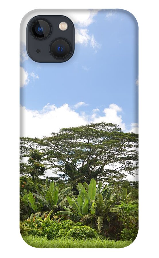 Kauai iPhone 13 Case featuring the photograph Kauai Hindu Monastery by Amy Fose