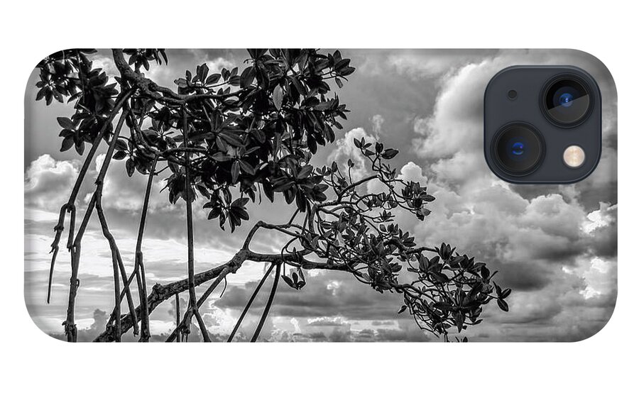 Black And White iPhone 13 Case featuring the photograph Key Largo Mangroves by Louise Lindsay
