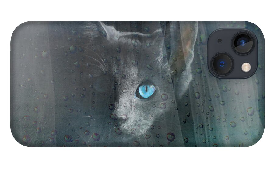 Blue iPhone 13 Case featuring the photograph Kitty at the Window by Chris Armytage