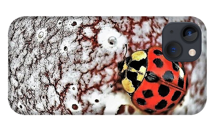 Digital Art iPhone 13 Case featuring the digital art Ladybird Fisheye View by Tracey Lee Cassin