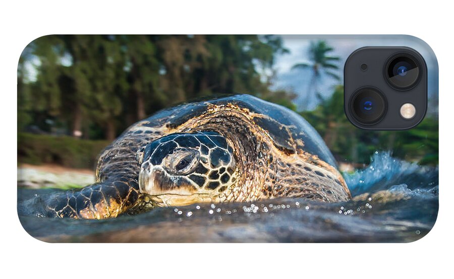 Sea Turtle iPhone 13 Case featuring the photograph Lani Honu by Leonardo Dale