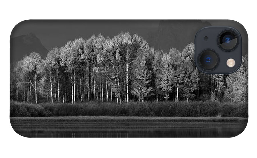 Aspen iPhone 13 Case featuring the photograph Last Sentinels Greyscale Pano by David Andersen
