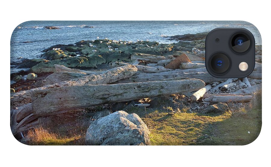 It Was Late Afternoon Standing Out By Cattle Loop Point In Victoria Bc. We Had Just Finished With The Windstorms And Arctic Outflows Leaving Behind Lots For Crafters And Artists To Peruse Through On The Beaches. iPhone 13 Case featuring the photograph Late In The Day by Ida Eriksen