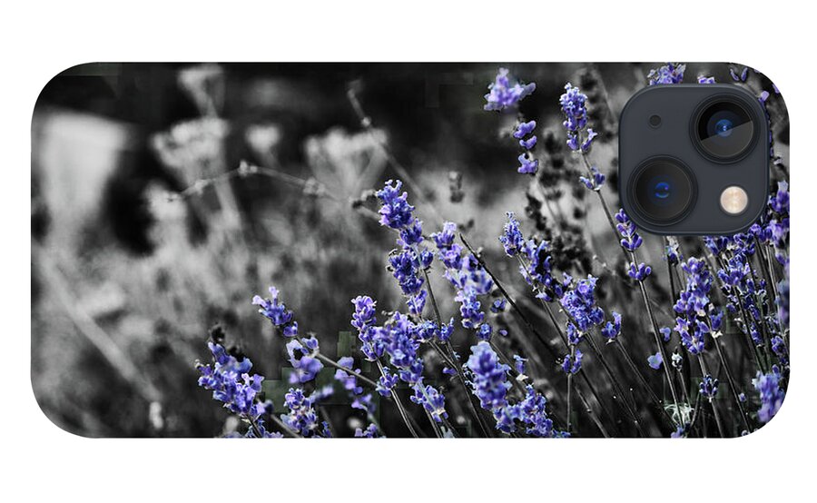 Garden iPhone 13 Case featuring the photograph Lavender B and W by April Burton