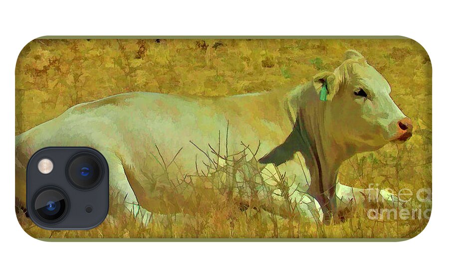 Cow iPhone 13 Case featuring the photograph Lazy Daze by Joyce Creswell