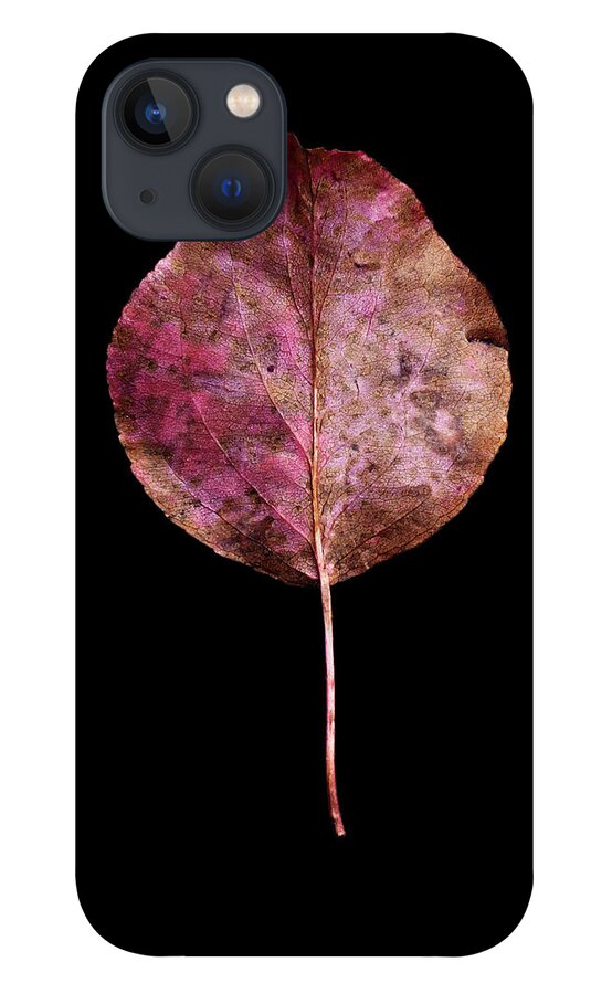 Leaves iPhone 13 Case featuring the photograph Leaf 20 by David J Bookbinder