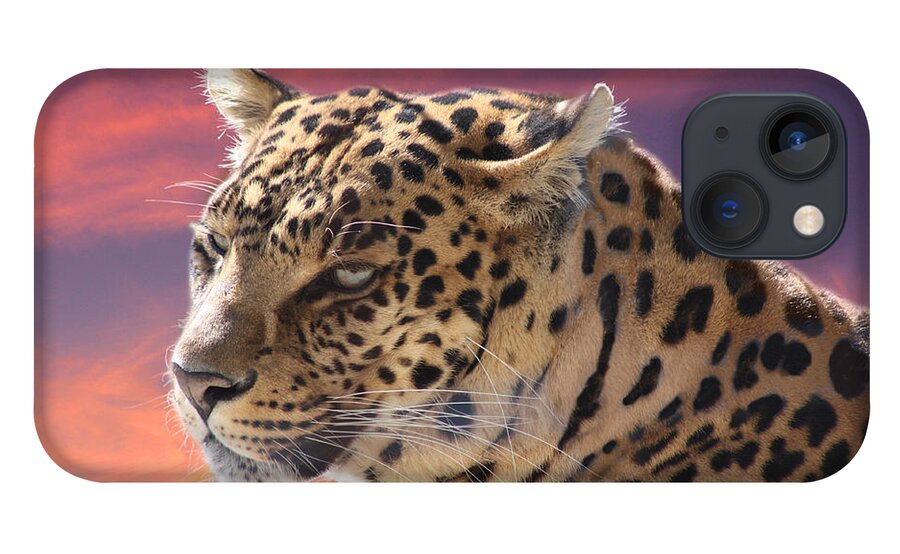 Leopard iPhone 13 Case featuring the photograph Leopard Portrait by Michele A Loftus