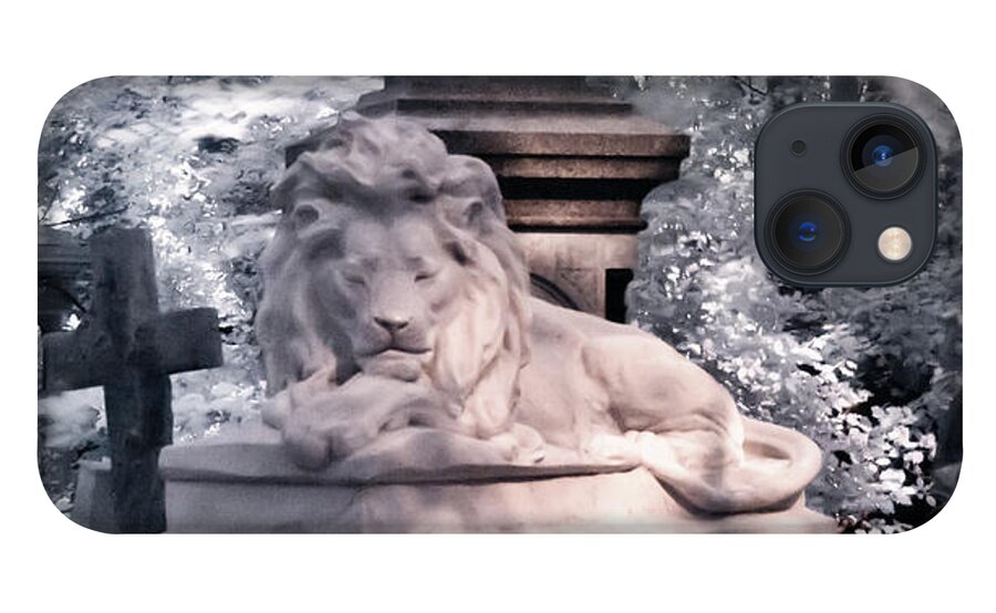 Animal iPhone 13 Case featuring the photograph Sleeping lion by Helga Novelli