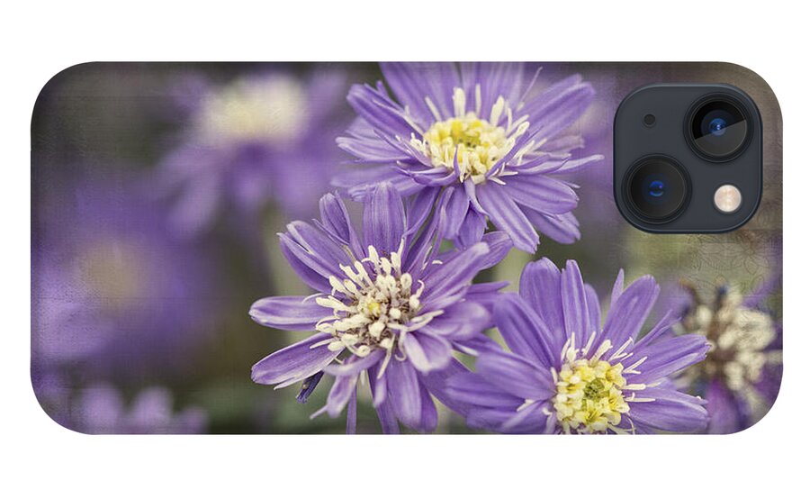 Flowers iPhone 13 Case featuring the photograph Little Ballerinas by Linda Lees