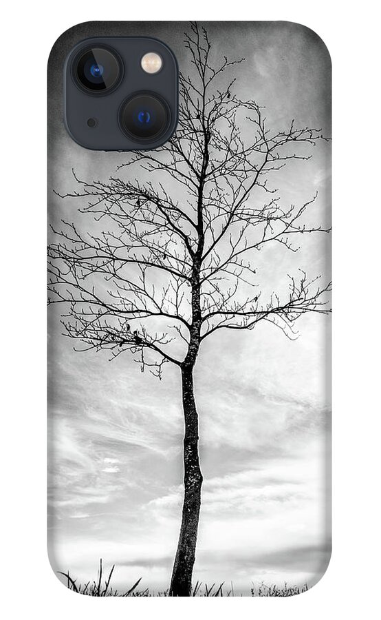 Tree iPhone 13 Case featuring the photograph Little Tree by Roseanne Jones