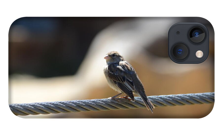 Bird iPhone 13 Case featuring the photograph The Sentry by Chuck Brown