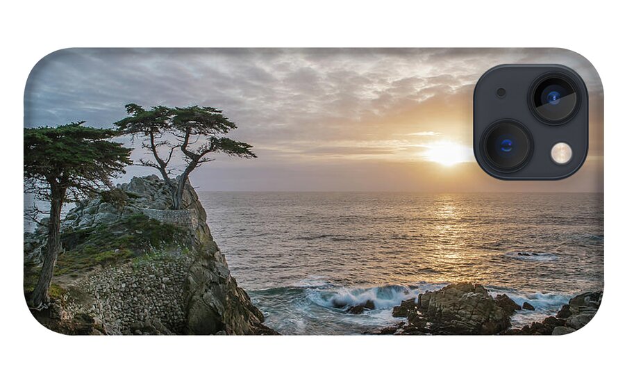 Lone Cypress iPhone 13 Case featuring the photograph Lone Cyress by Bill Roberts