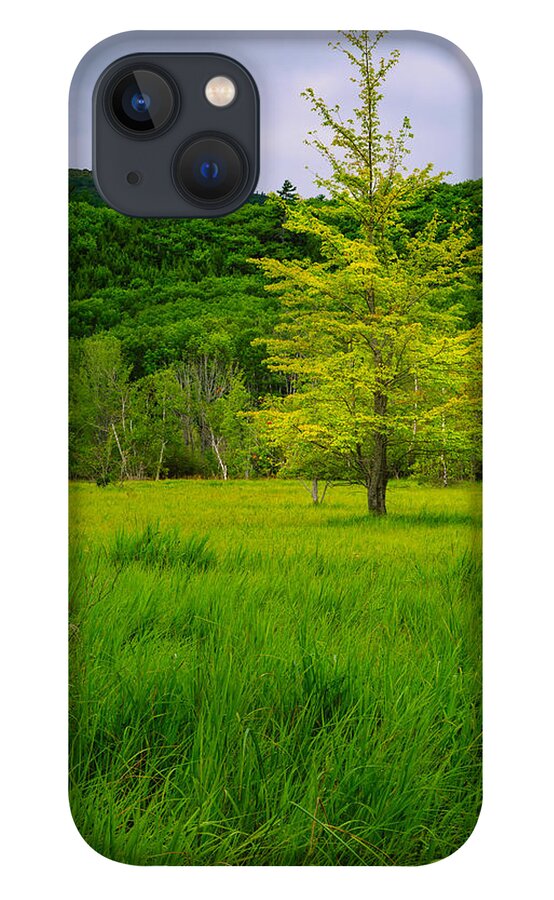 Acadia iPhone 13 Case featuring the photograph Lone Tree Sieur de Mont Woodland Acadia by Jeff Sinon