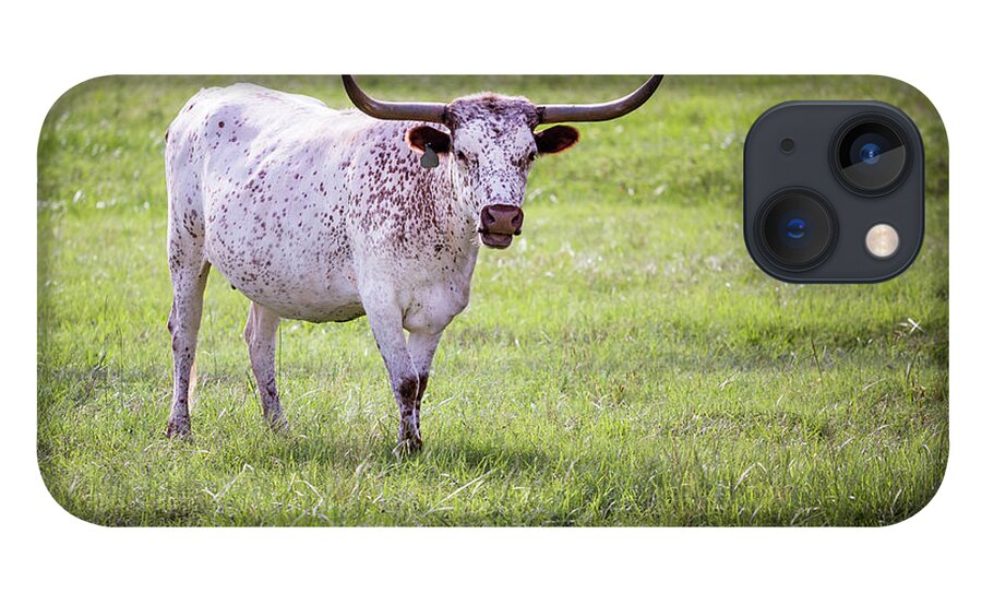 Longhorn iPhone 13 Case featuring the photograph Longhorn 3 by Anthony Michael Bonafede