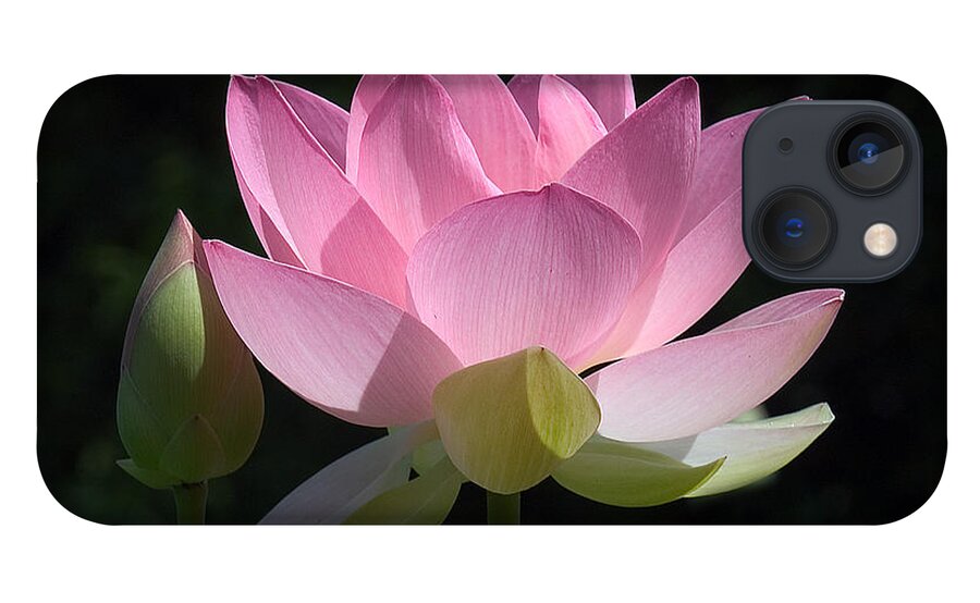 : iPhone 13 Case featuring the photograph Lotus Bud--Snuggle Bud DL005 by Gerry Gantt