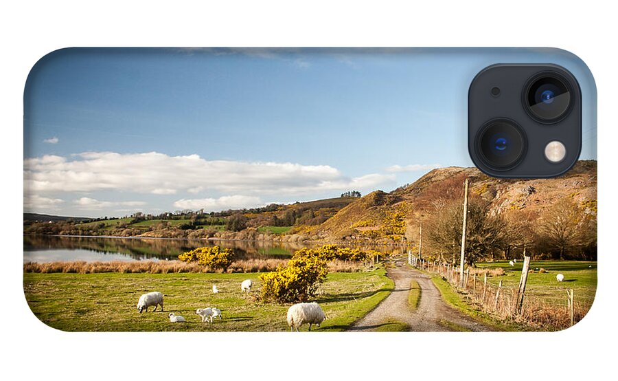 Lough Guitane iPhone 13 Case featuring the photograph Lough Guitane Sheep by Mark Callanan