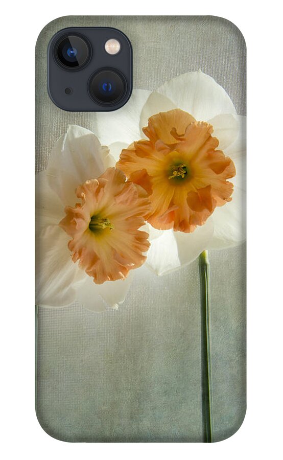Daffodil iPhone 13 Case featuring the photograph Love In Bloom by Marina Kojukhova