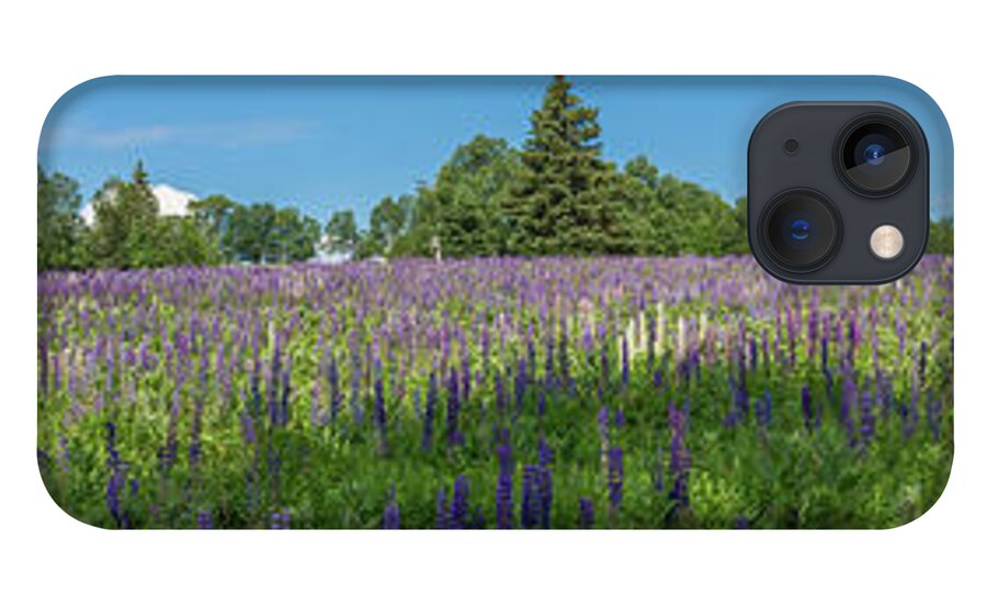 Flowers iPhone 13 Case featuring the photograph Lupine Field by Darryl Hendricks