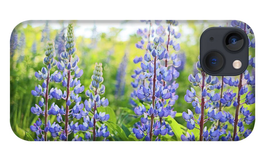 Lupines iPhone 13 Case featuring the photograph Lupines by Holly Ross