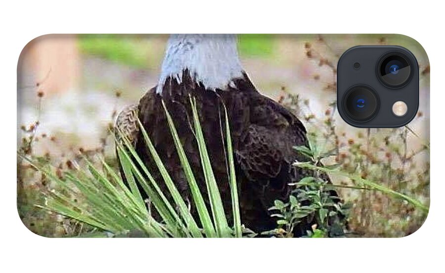 Bald Eagle iPhone 13 Case featuring the photograph M15 by Liz Grindstaff