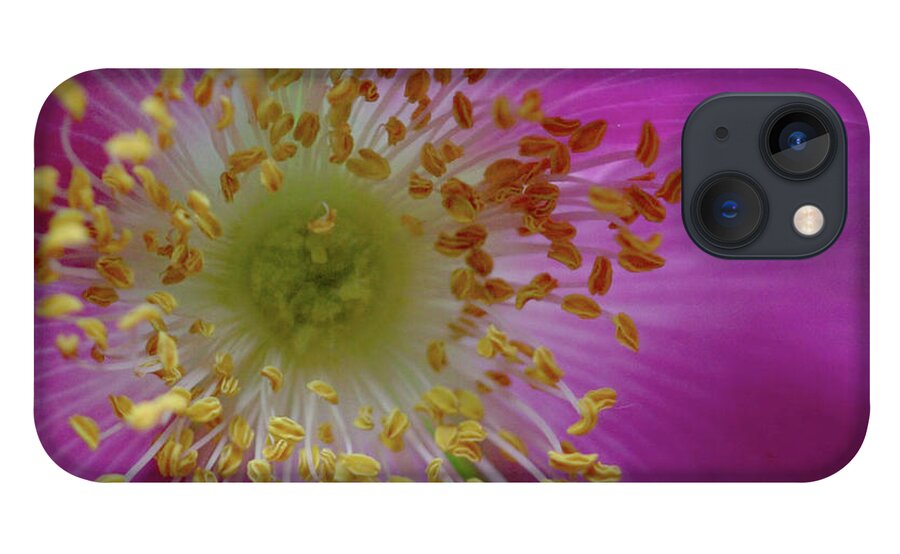  iPhone 13 Case featuring the photograph Macro Rosehip Bloom by Baggieoldboy