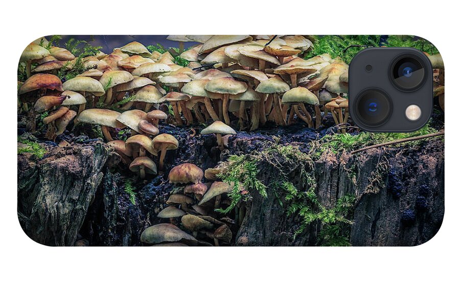 Autumn iPhone 13 Case featuring the photograph Magical Mushrooms by Tim Abeln