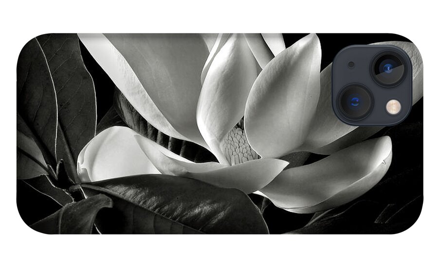 Flower iPhone 13 Case featuring the photograph Magnolia in Black and White by Endre Balogh