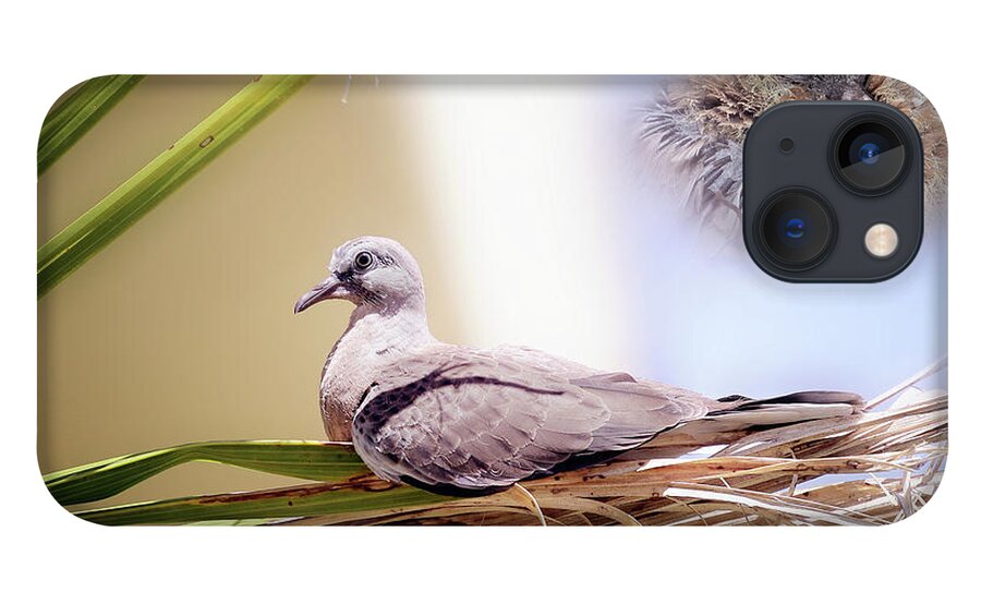 Dove Chicks iPhone 13 Case featuring the photograph Me all grown up 01 by Kevin Chippindall