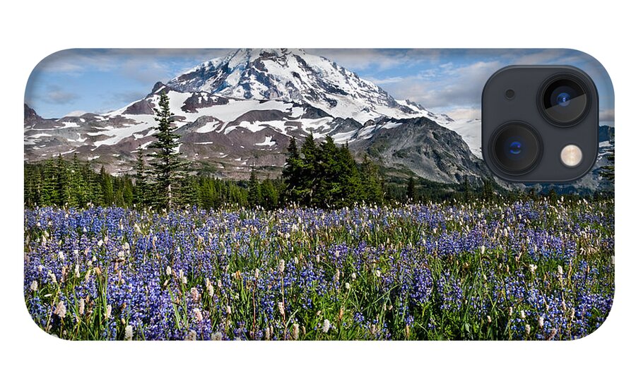 Alpine iPhone 13 Case featuring the photograph Meadow of Lupine Near Mount Rainier by Jeff Goulden