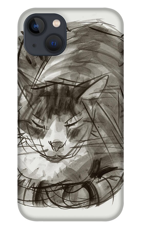 Cat iPhone 13 Case featuring the painting Meditating Cat by Judith Kunzle