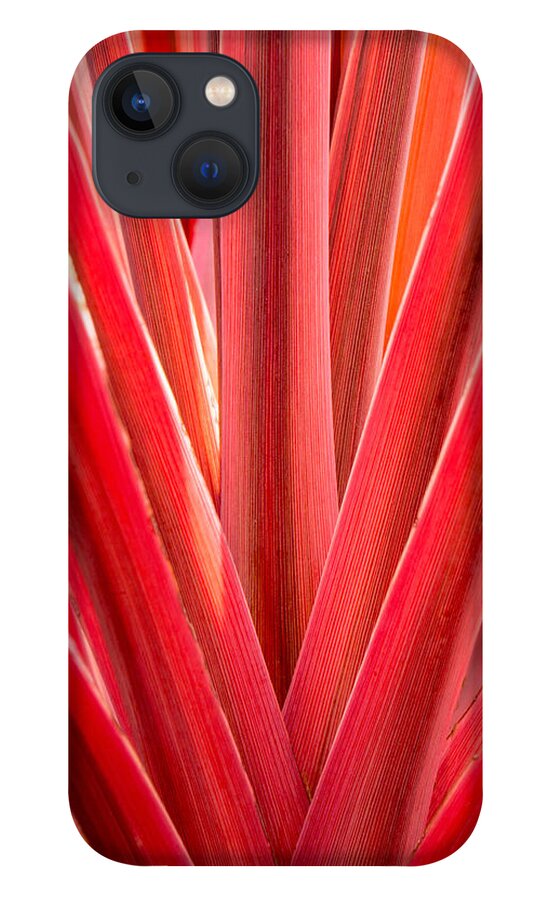 Plants iPhone 13 Case featuring the photograph Middle Man by Derek Dean