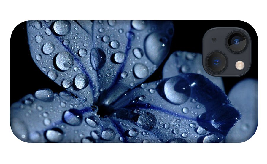 Blue iPhone 13 Case featuring the photograph Midnight Dew by Donna Blackhall