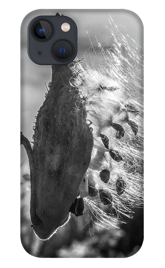 Milkweed iPhone 13 Case featuring the photograph Milkweed Pod Back Lit B and W by Lon Dittrick