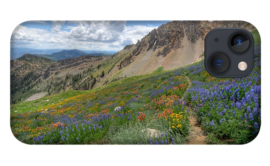 Wildflower iPhone 13 Case featuring the photograph Mineral Basin Wildflowers by Brett Pelletier