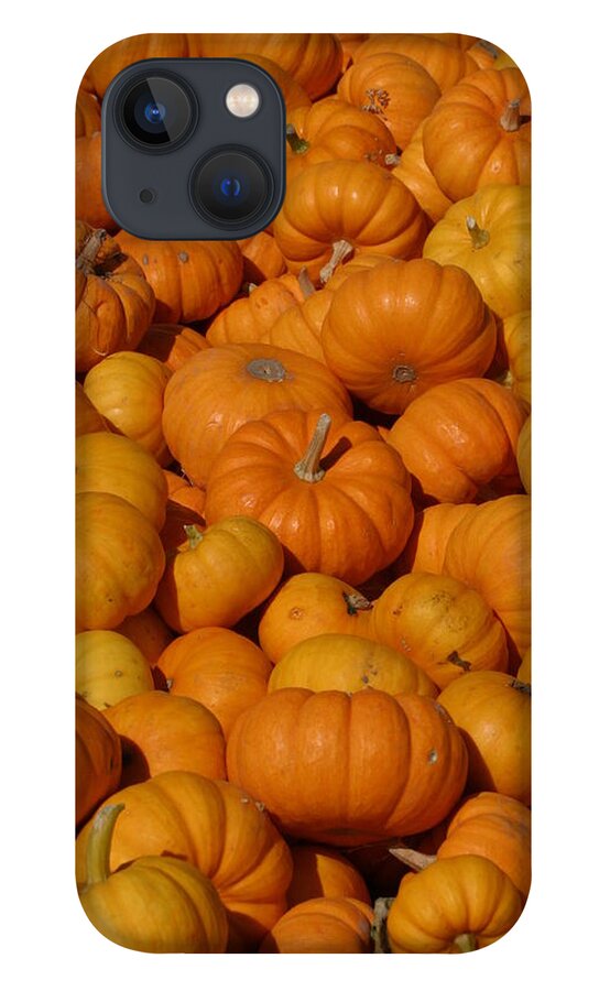 Orange iPhone 13 Case featuring the photograph Mini Pumpkins by Jeff Floyd