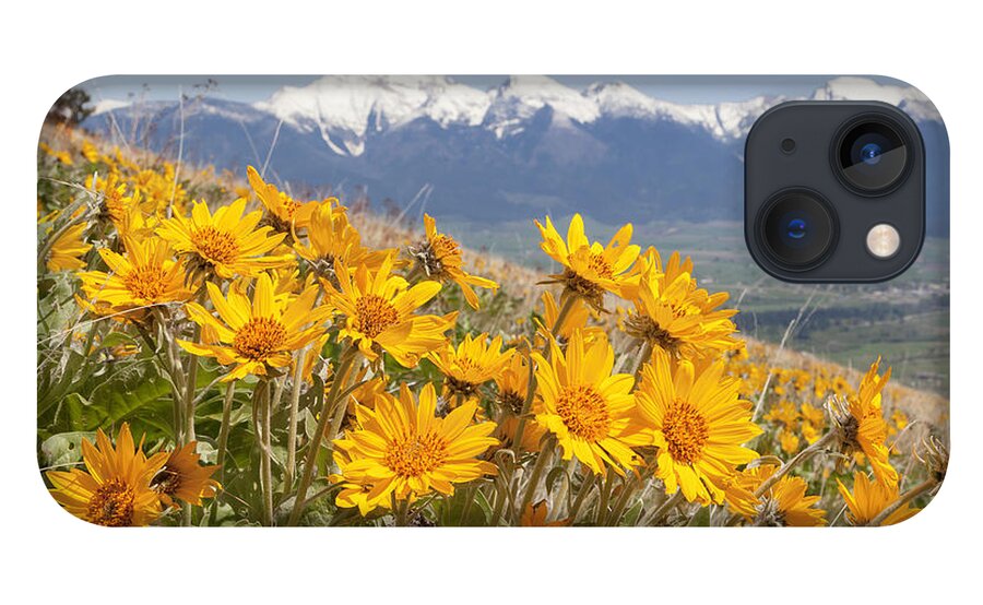 Balsam iPhone 13 Case featuring the photograph Mission Mountain Balsam Blooms by Jack Bell