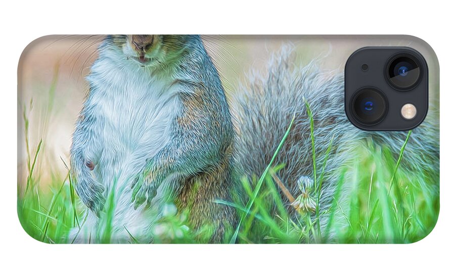 Mammal iPhone 13 Case featuring the photograph Momma Squirrel by Cathy Kovarik