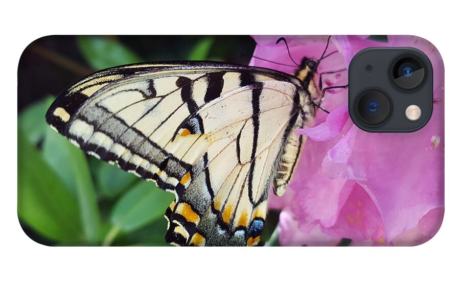 Butterfly iPhone 13 Case featuring the photograph Tuesday One by Dani McEvoy
