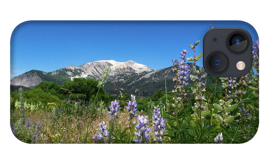 Flowers iPhone 13 Case featuring the photograph Mammoth Meadow  by Brandon Bonafede