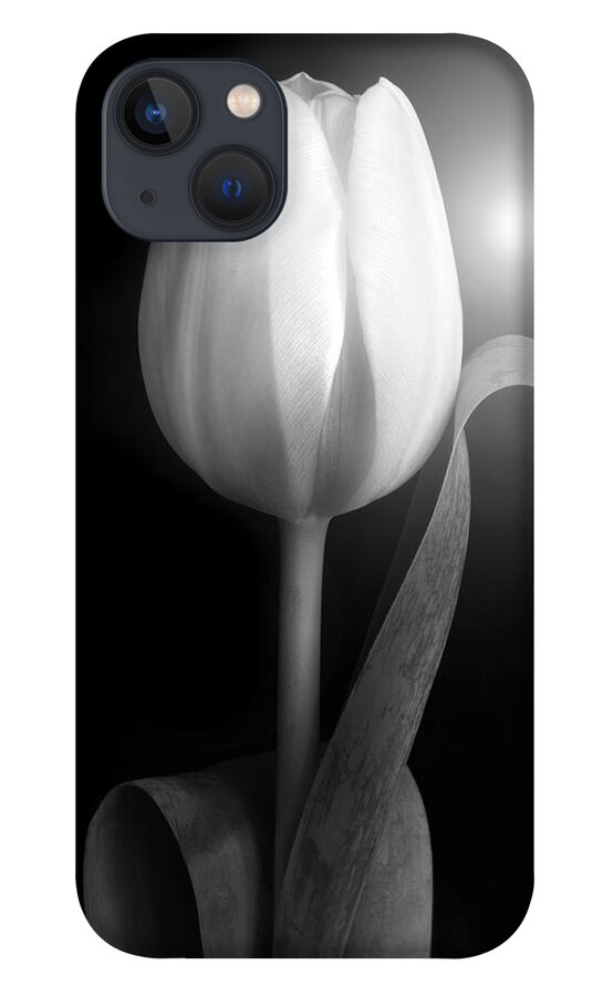 Tulips iPhone 13 Case featuring the photograph Monochrome Tulip portrait by Terence Davis