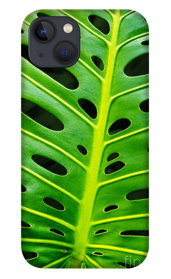 Abstract iPhone 13 Case featuring the photograph Monstera leaf by Carlos Caetano