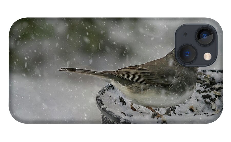 Bird iPhone 13 Case featuring the photograph More Snow? by Cathy Kovarik