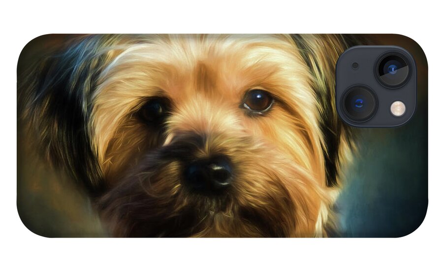 Morkie iPhone 13 Case featuring the photograph Morkie Portrait by Eleanor Abramson