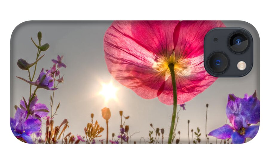 Fog iPhone 13 Case featuring the photograph Morning Pink by Debra and Dave Vanderlaan