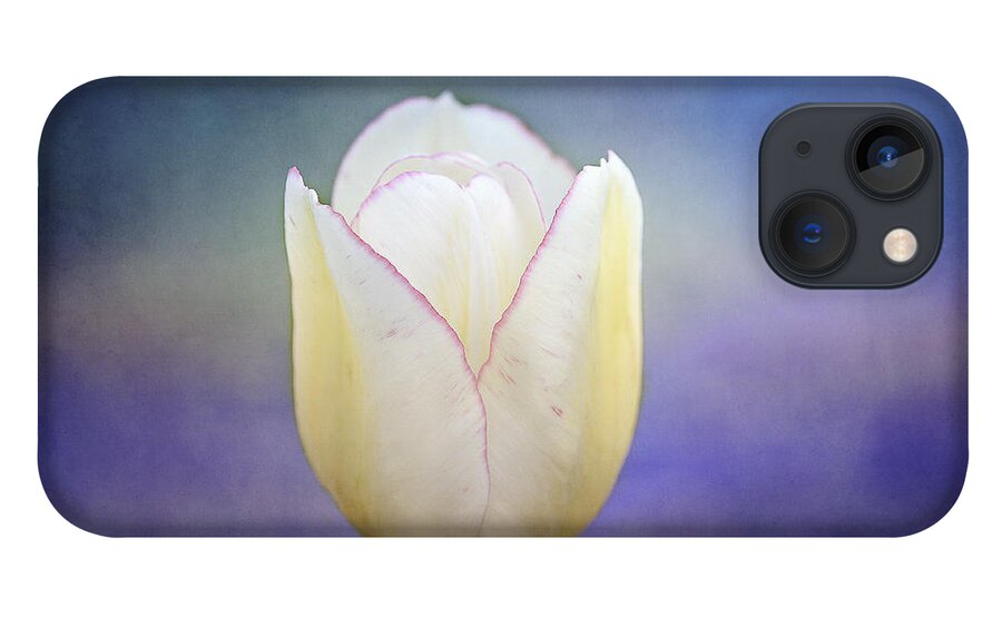 White Tulip iPhone 13 Case featuring the photograph Morning Star by Marina Kojukhova