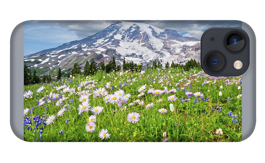 Alpine iPhone 13 Case featuring the photograph Mount Rainier and a Meadow of Aster by Jeff Goulden